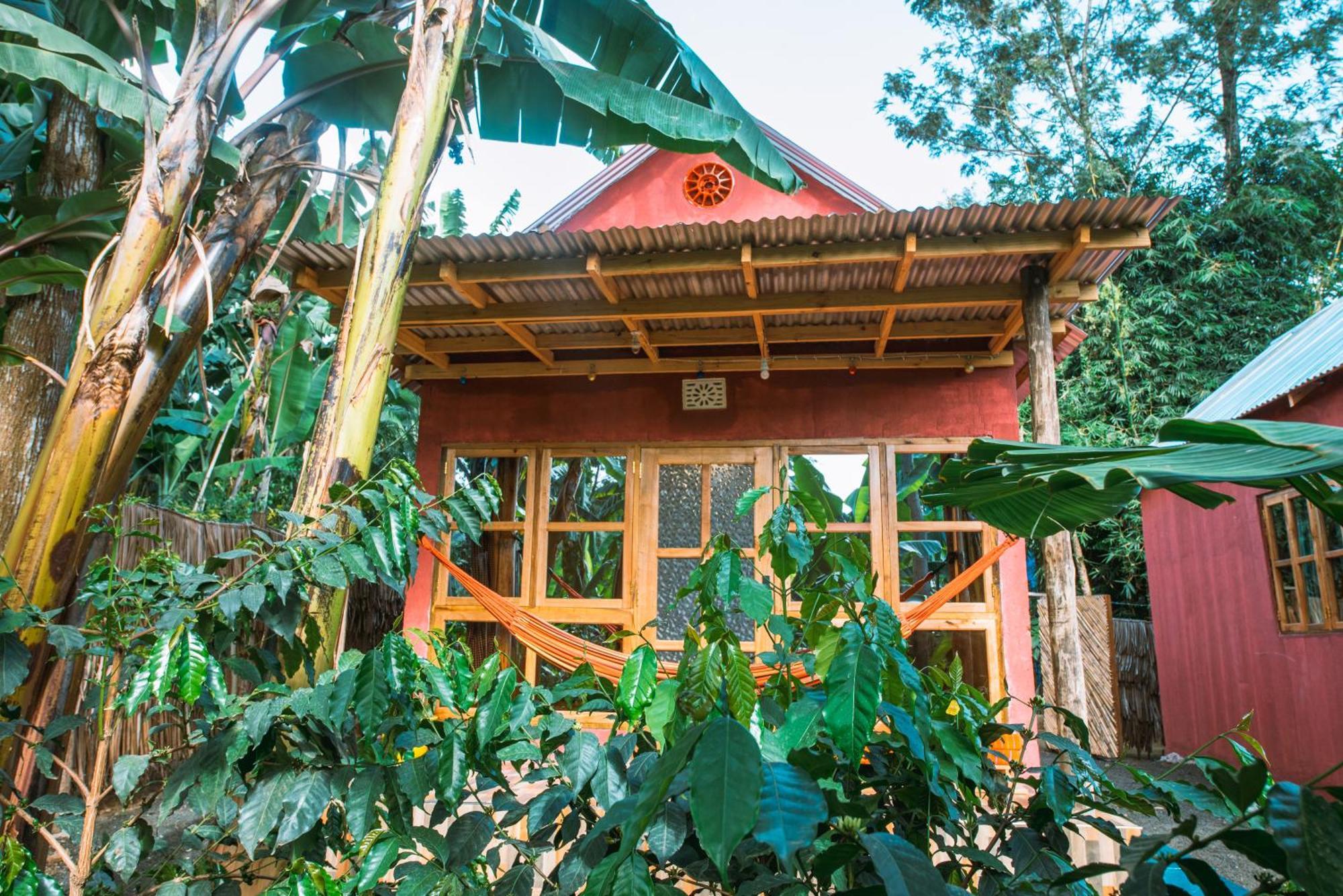 Banana Farm Eco Hostel Arusha Exteriér fotografie